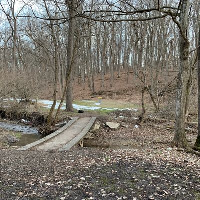 Hole 6 approach.