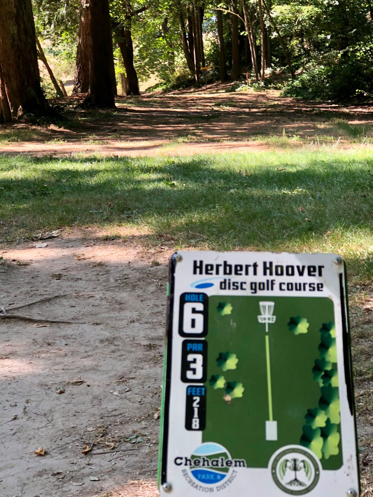Hole 6 teepad