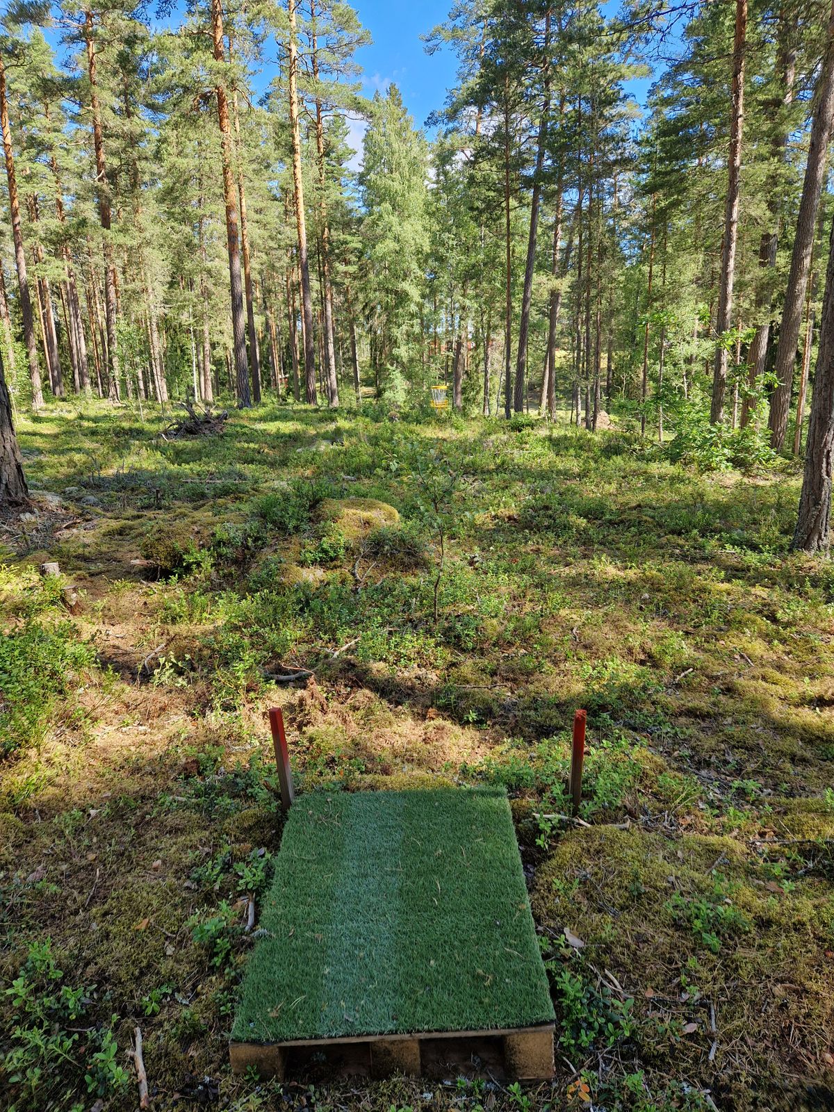 DZ Hål 9