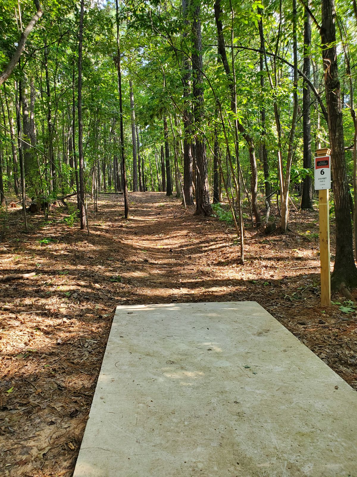 Hole 6 tee