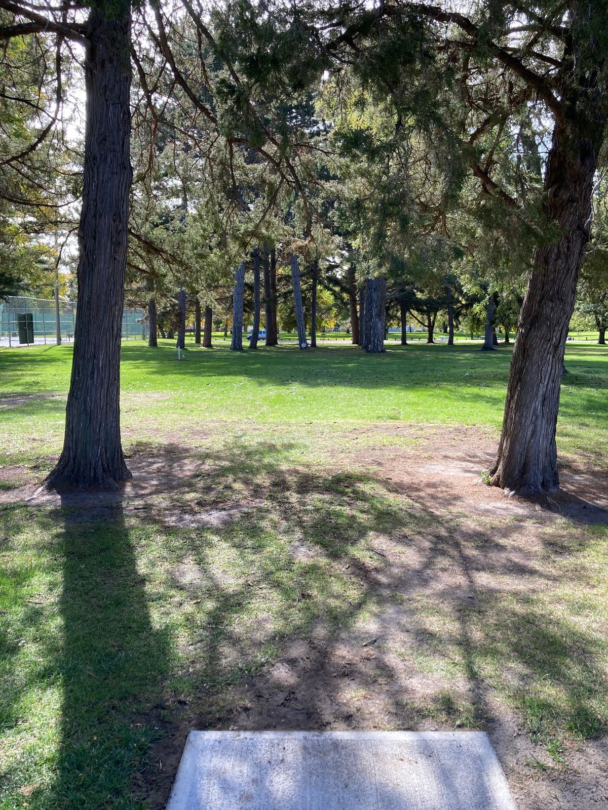 Tee 18