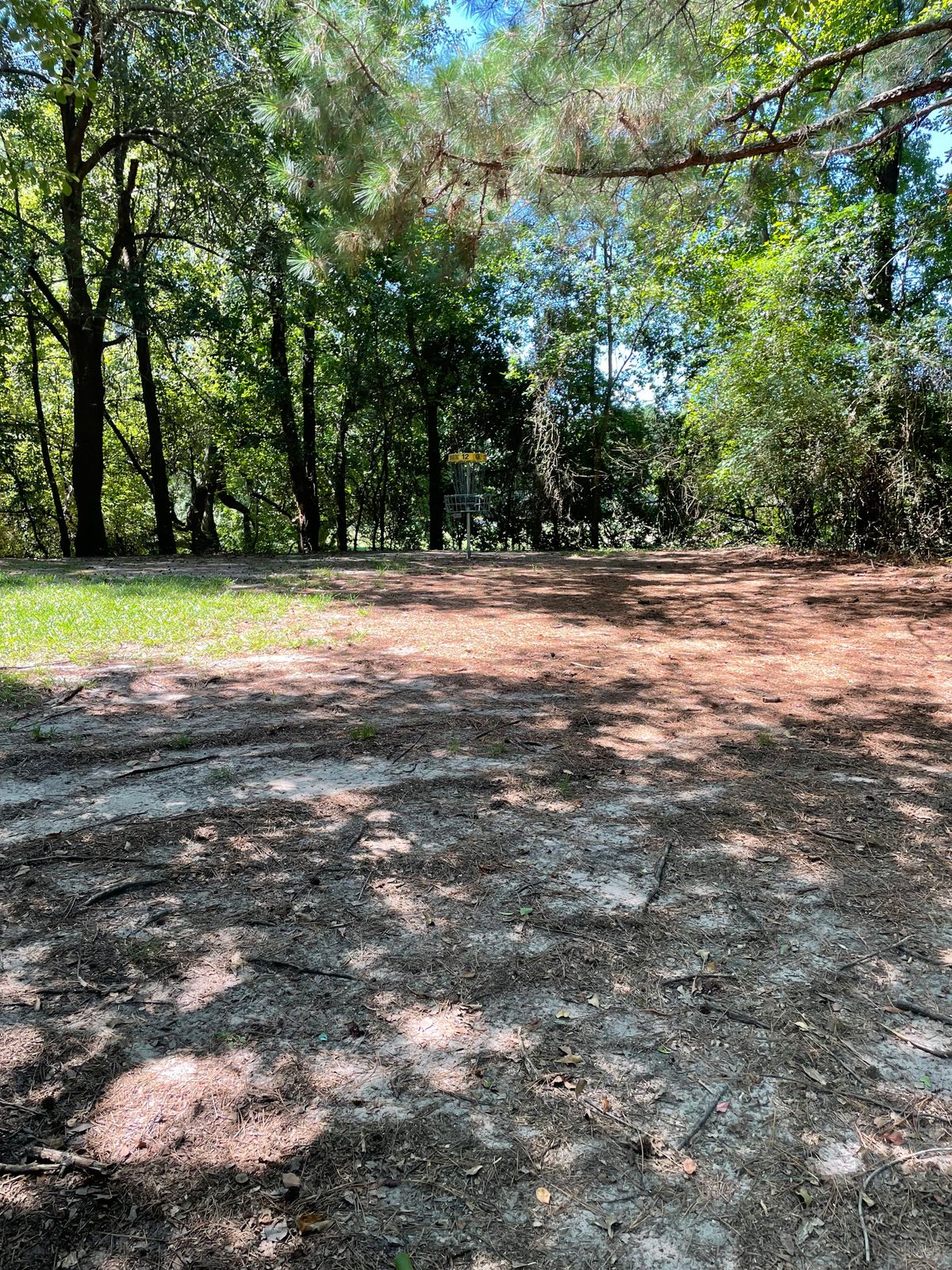 Hole #11 Approach To Basket