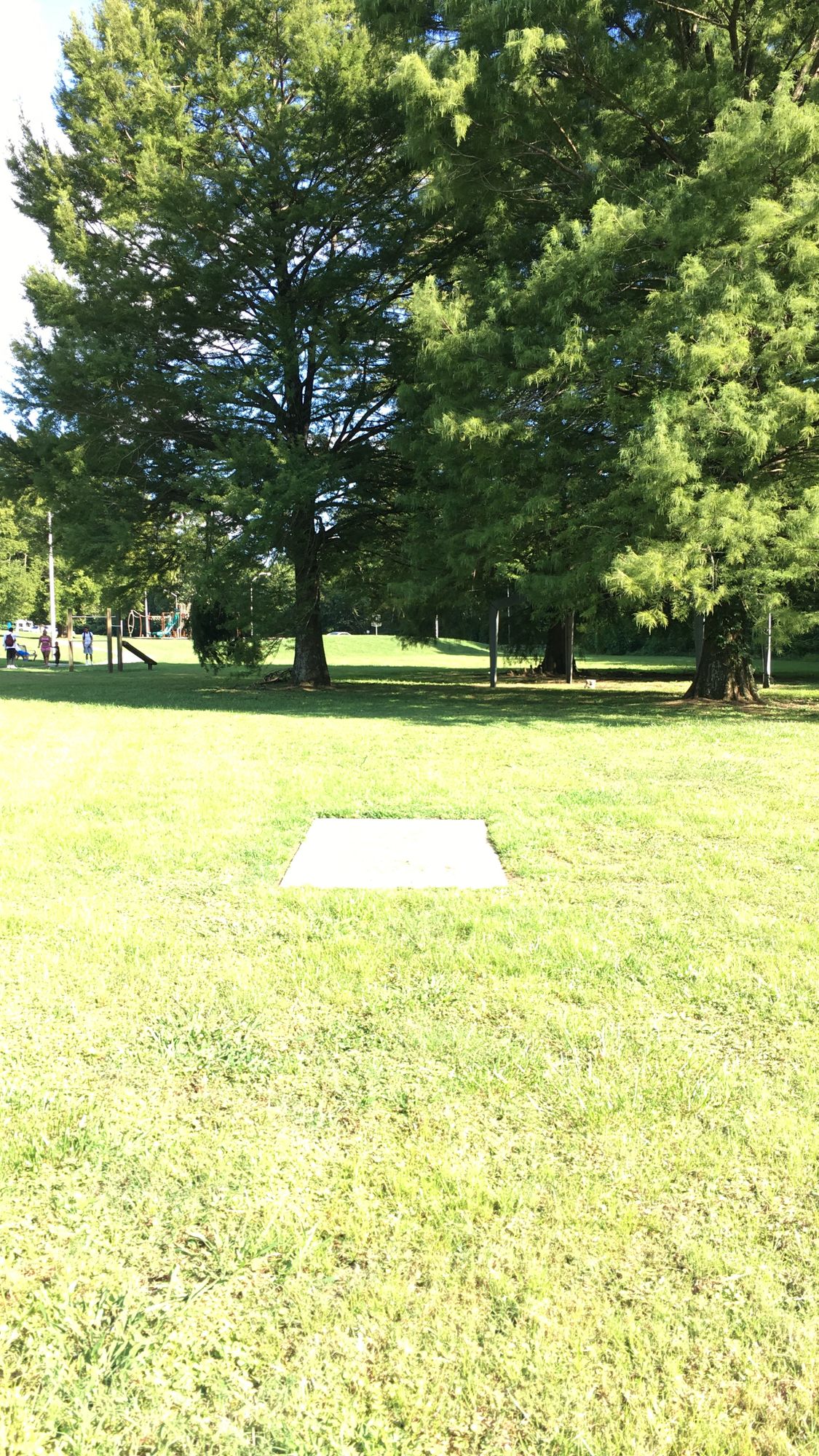 Hole 9 - Pad - Main (Long) + Short
