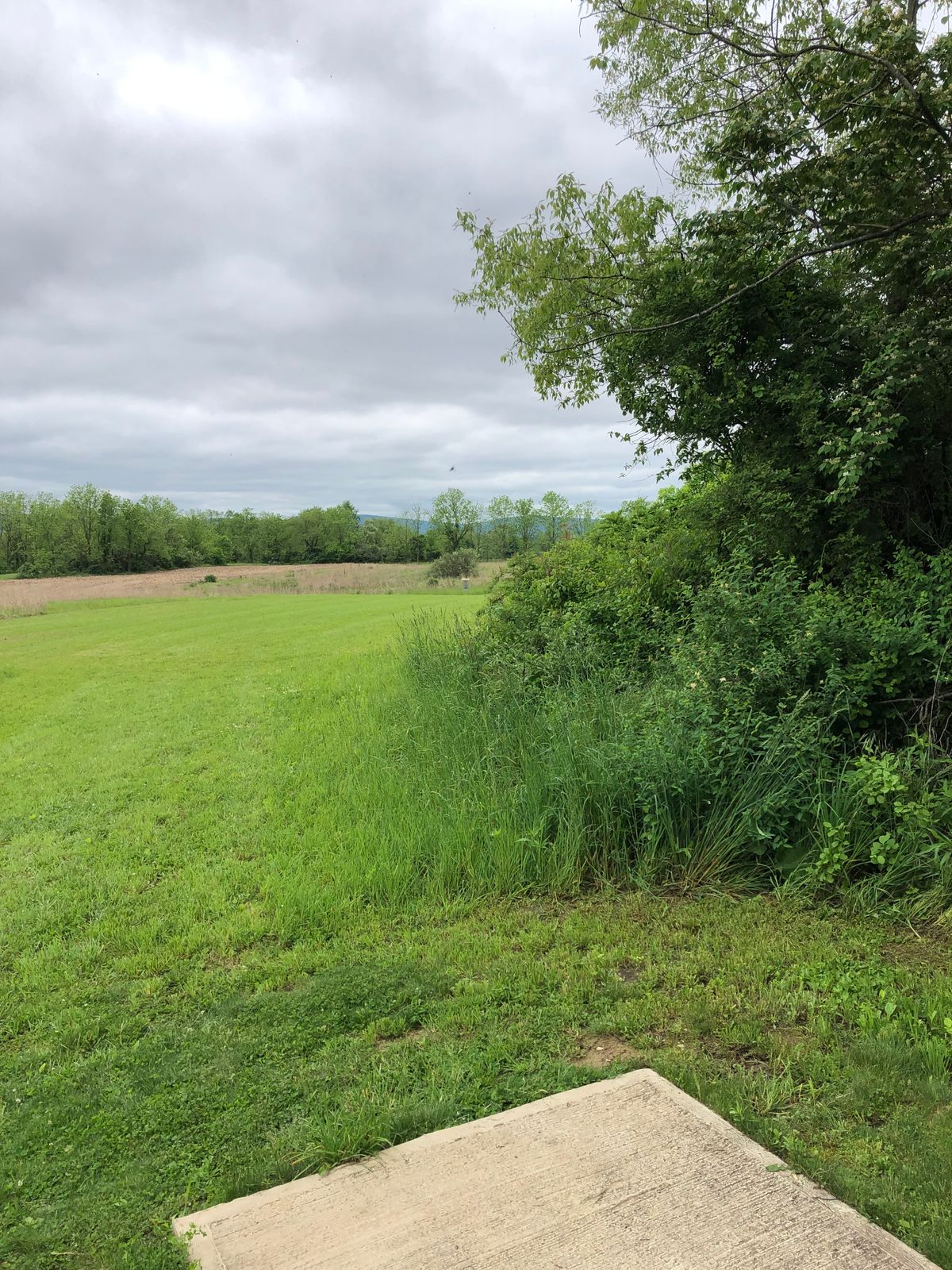 Hole 2 tee