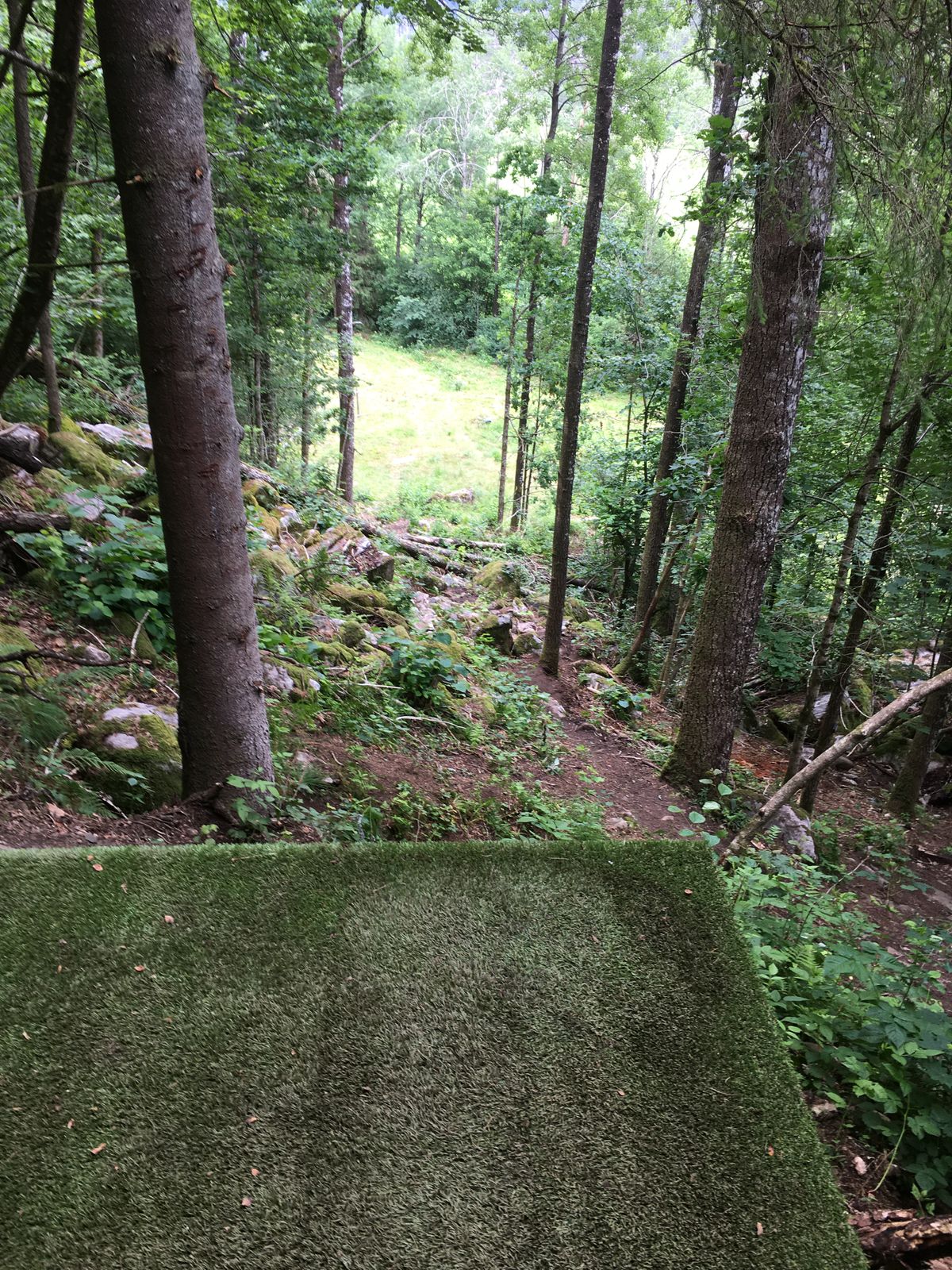 Gøye utkast fra åssiden.