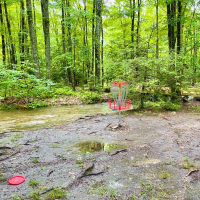 Hole 1 basket