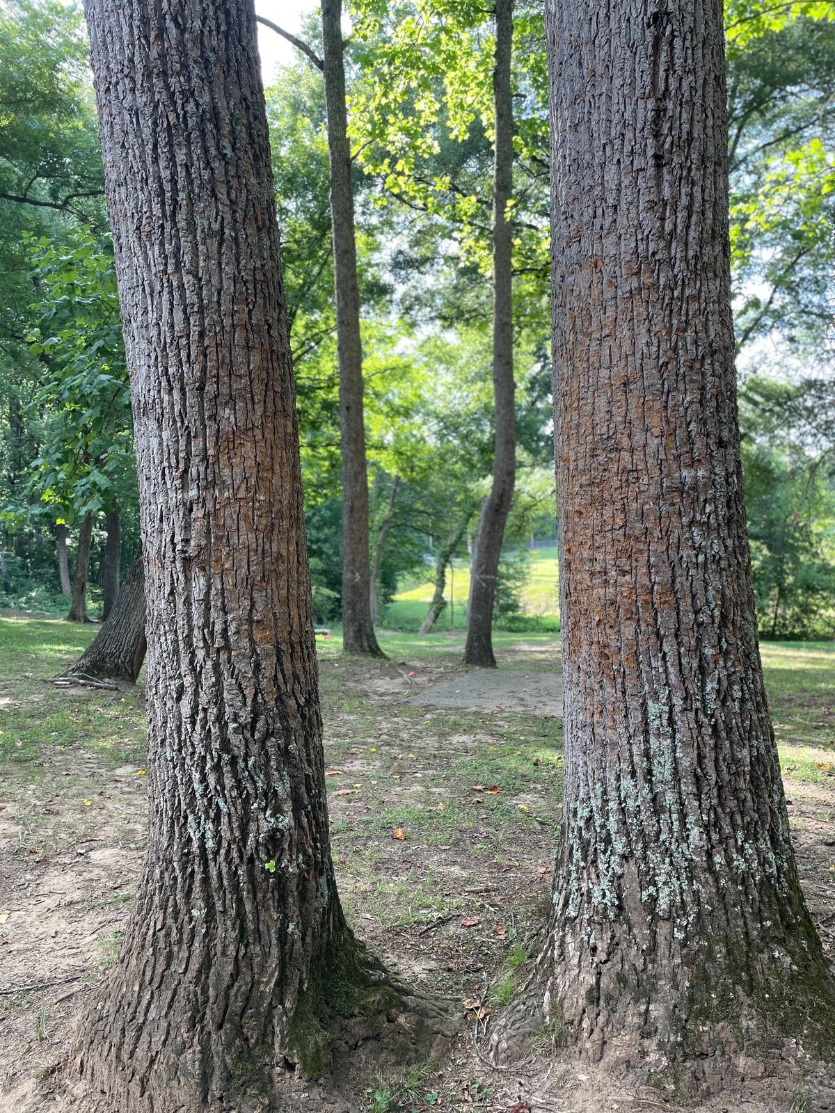 Up the middle.  
Hole 4