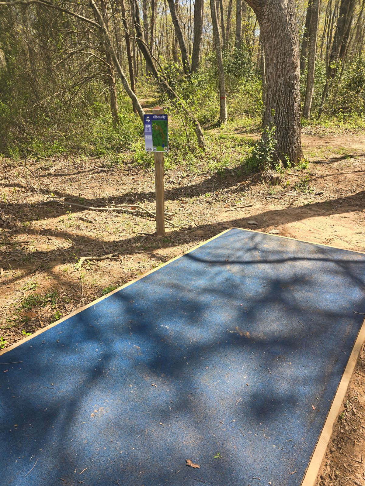 Hole 4 Tee