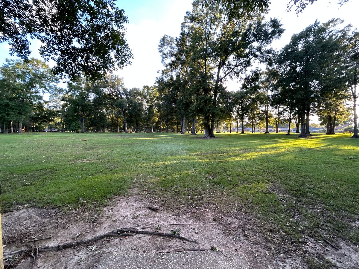 Hole 8 Fairway