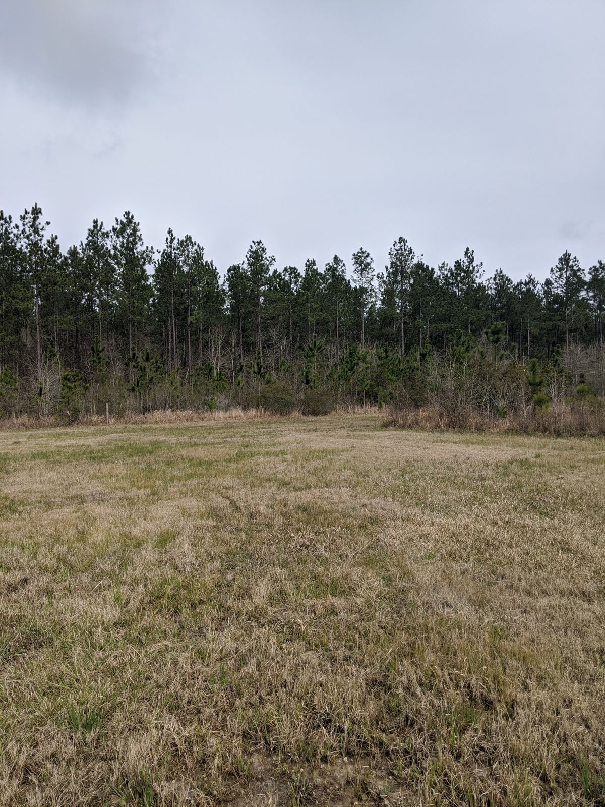 Hole 9 Fairway