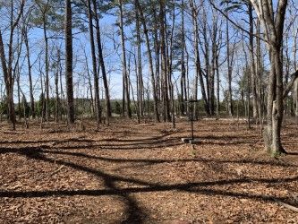 Hole 8 green and temp basket