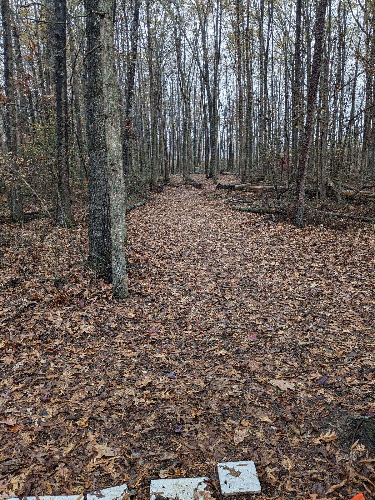 Hole 4 teepad