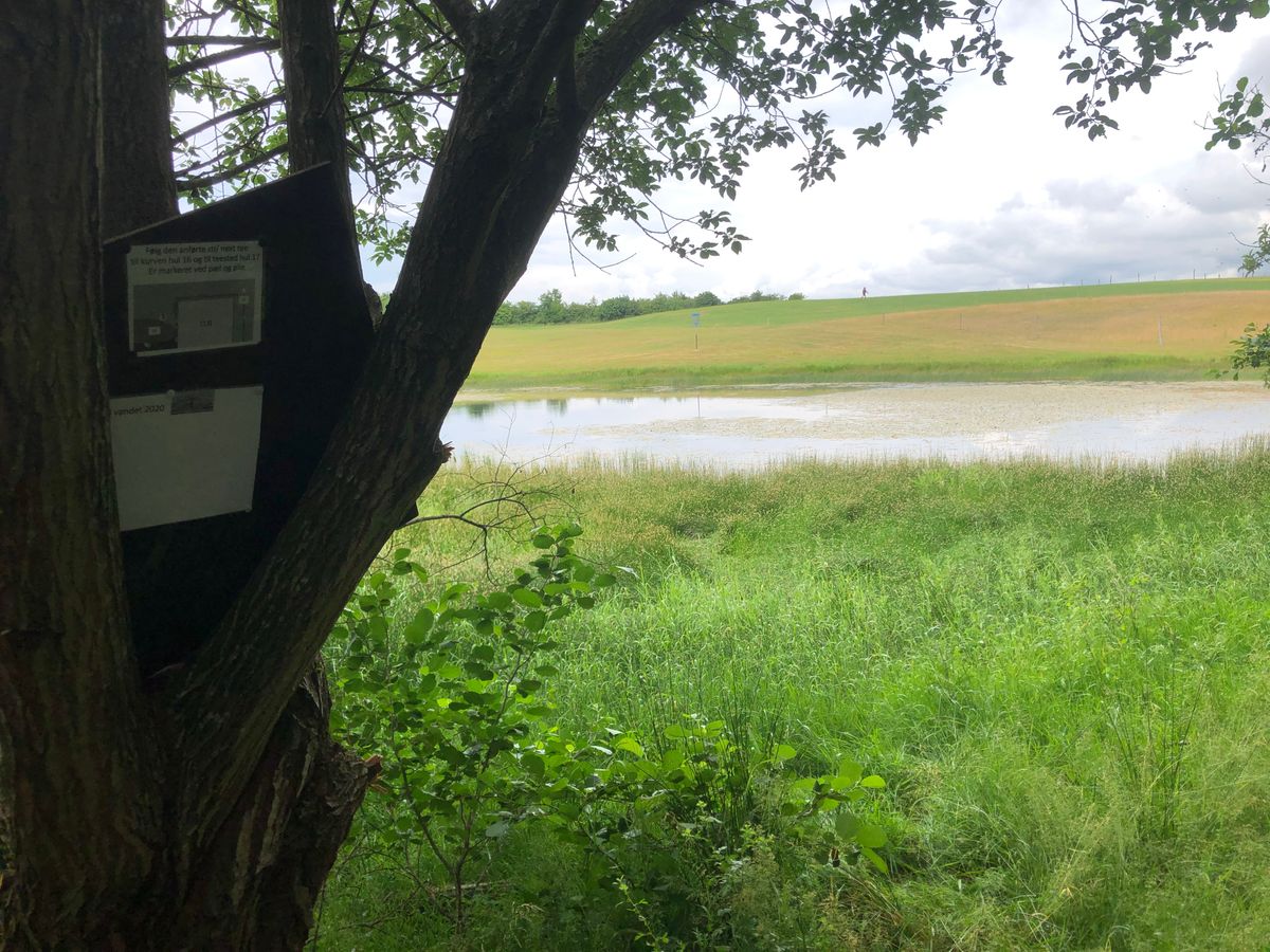 Den berygtede sø ved hul 16.