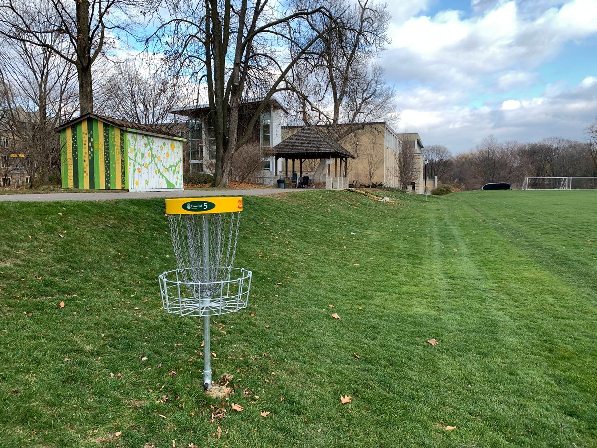 Hole 5 basket.