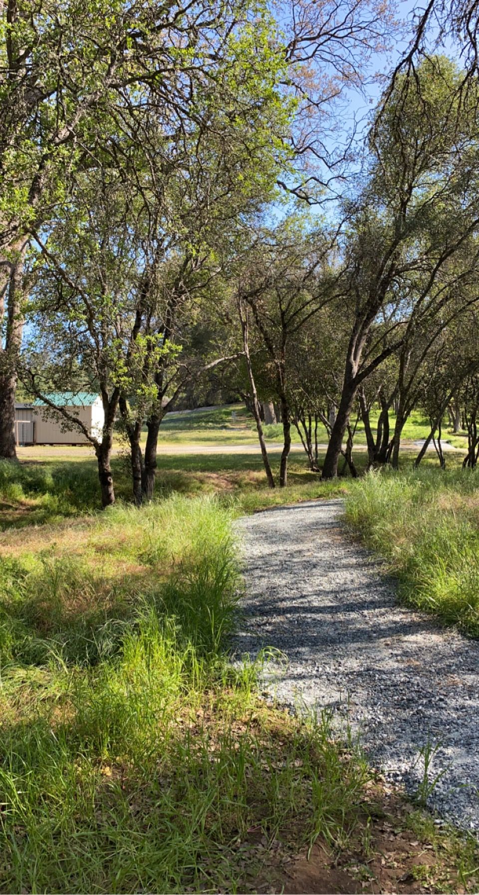 Hole 3 fairway