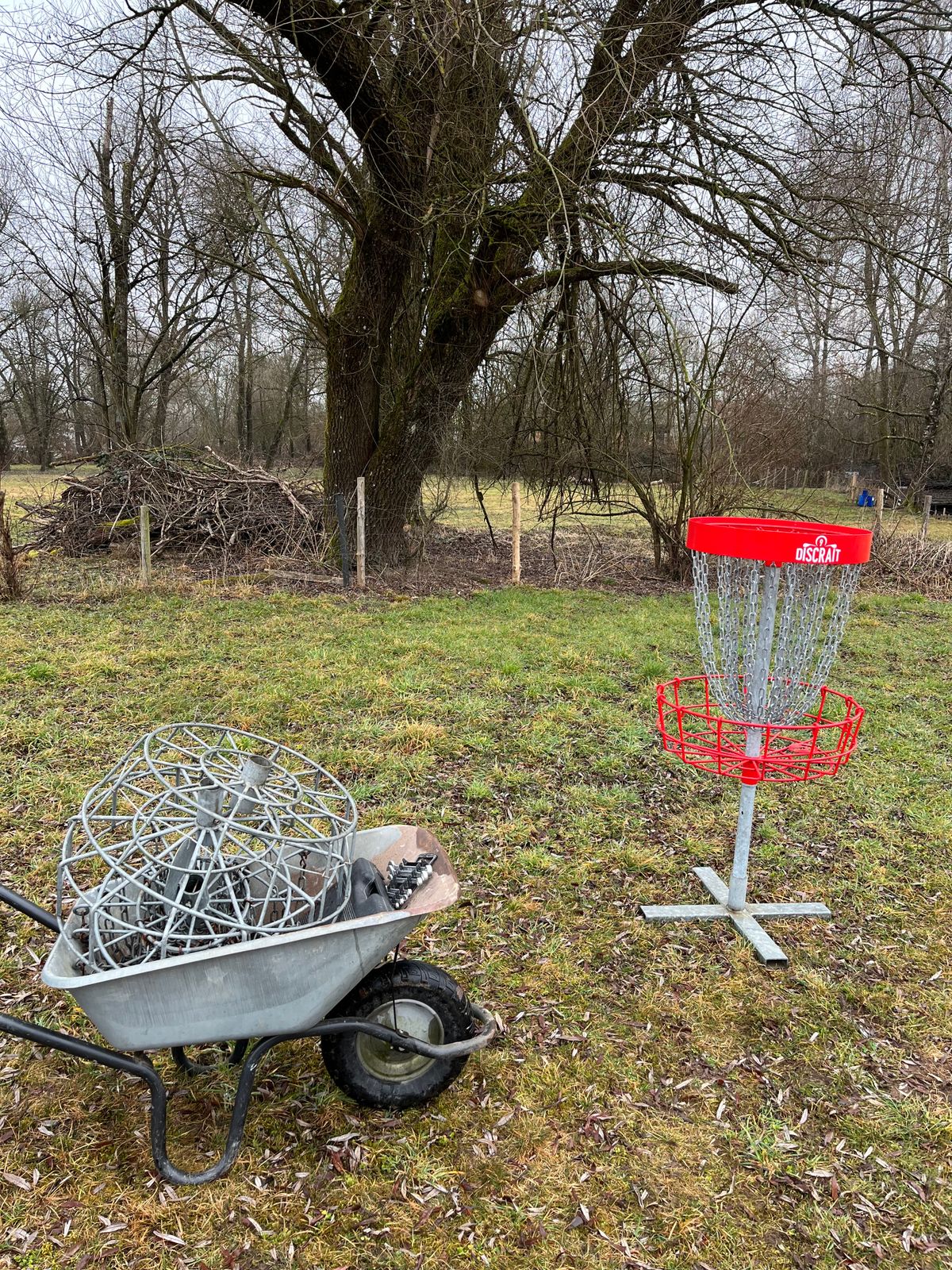 New Basket’s 