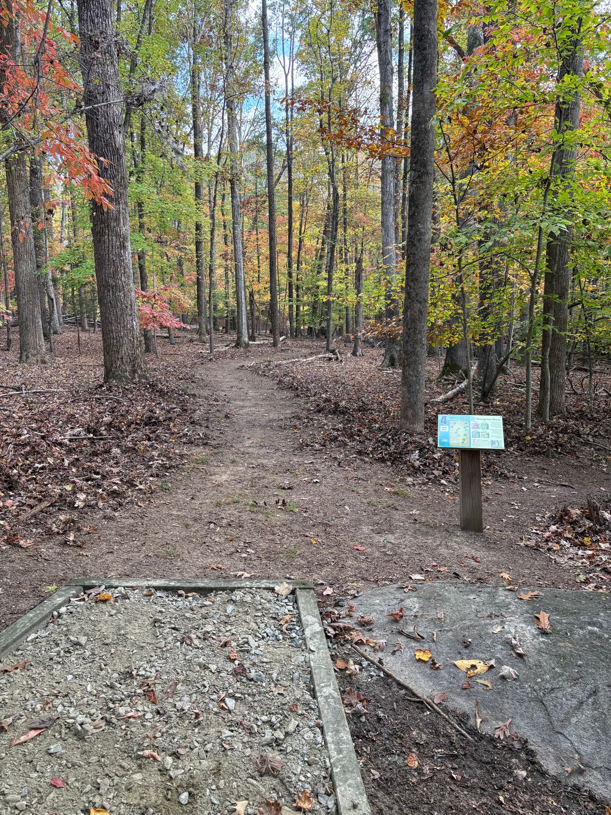 Hole 4
