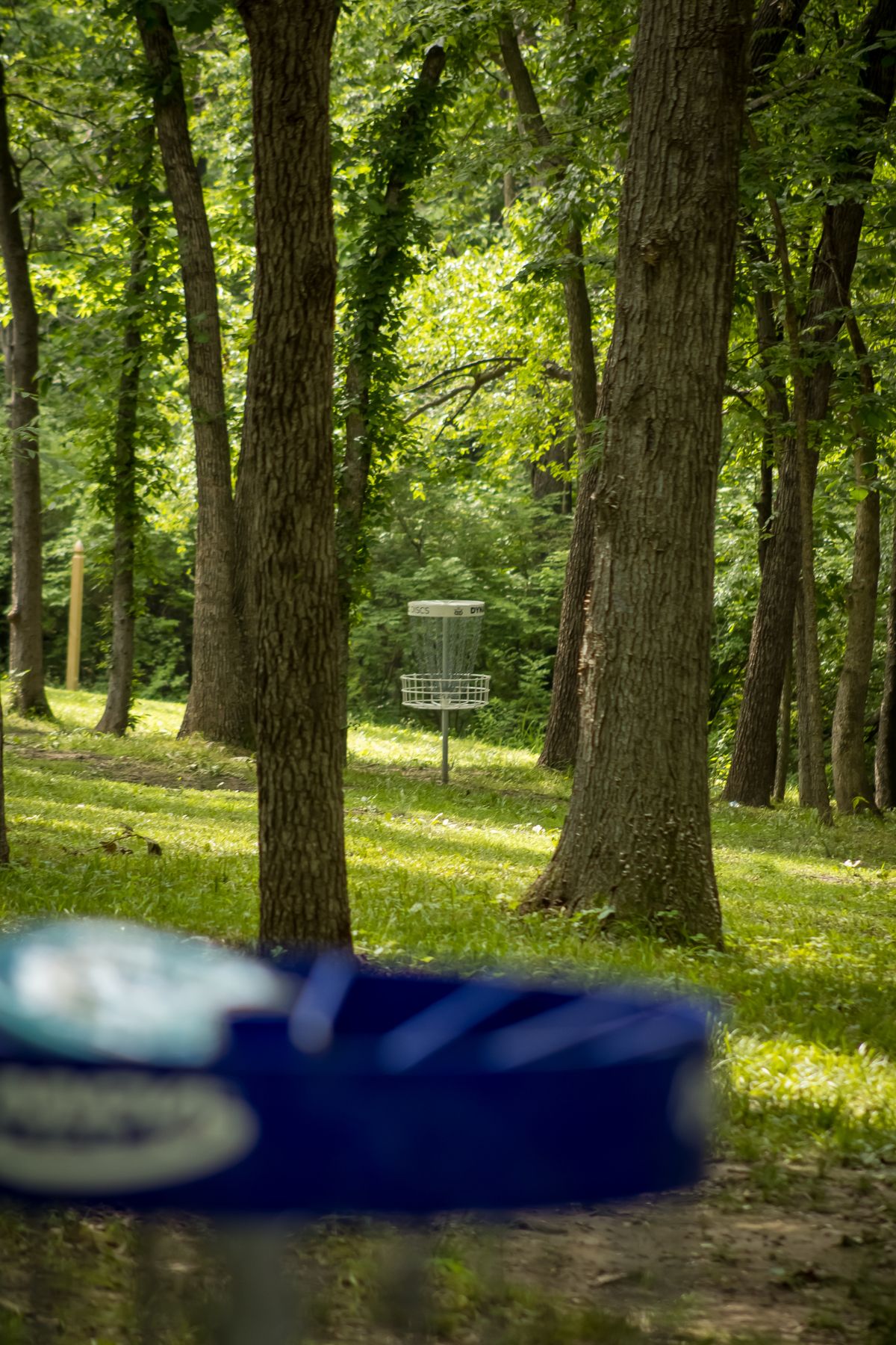 Hole 4 short from hole 3 basket.