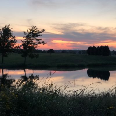 Just behind 7s basket looking at 8 and 9s baskets at dusk in the summer.
