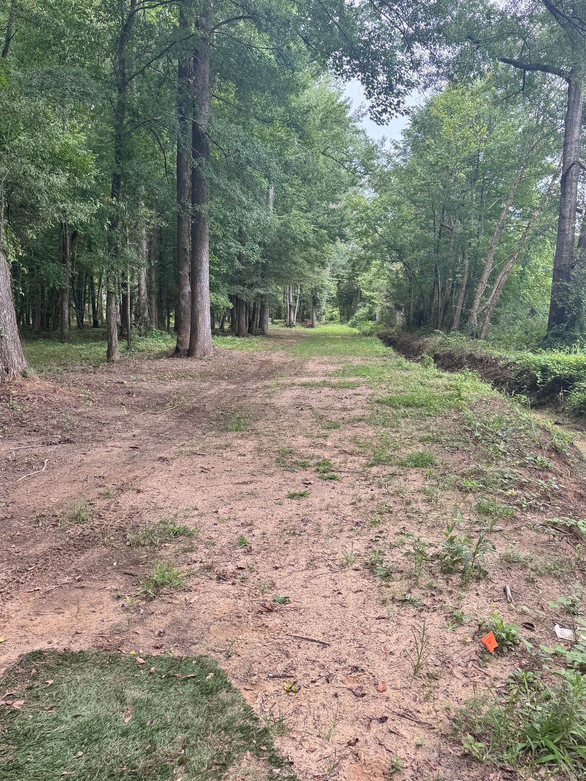 Hole 3