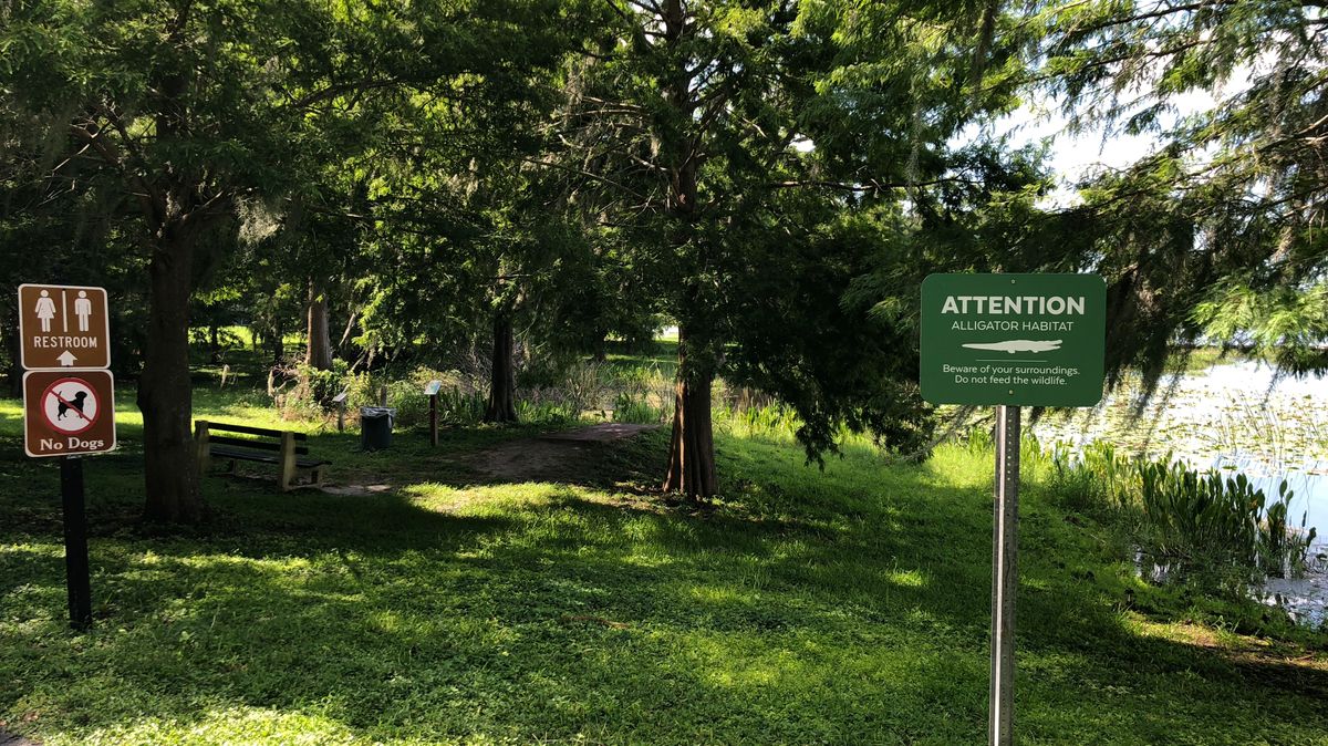 Be cautious of alligators in the area