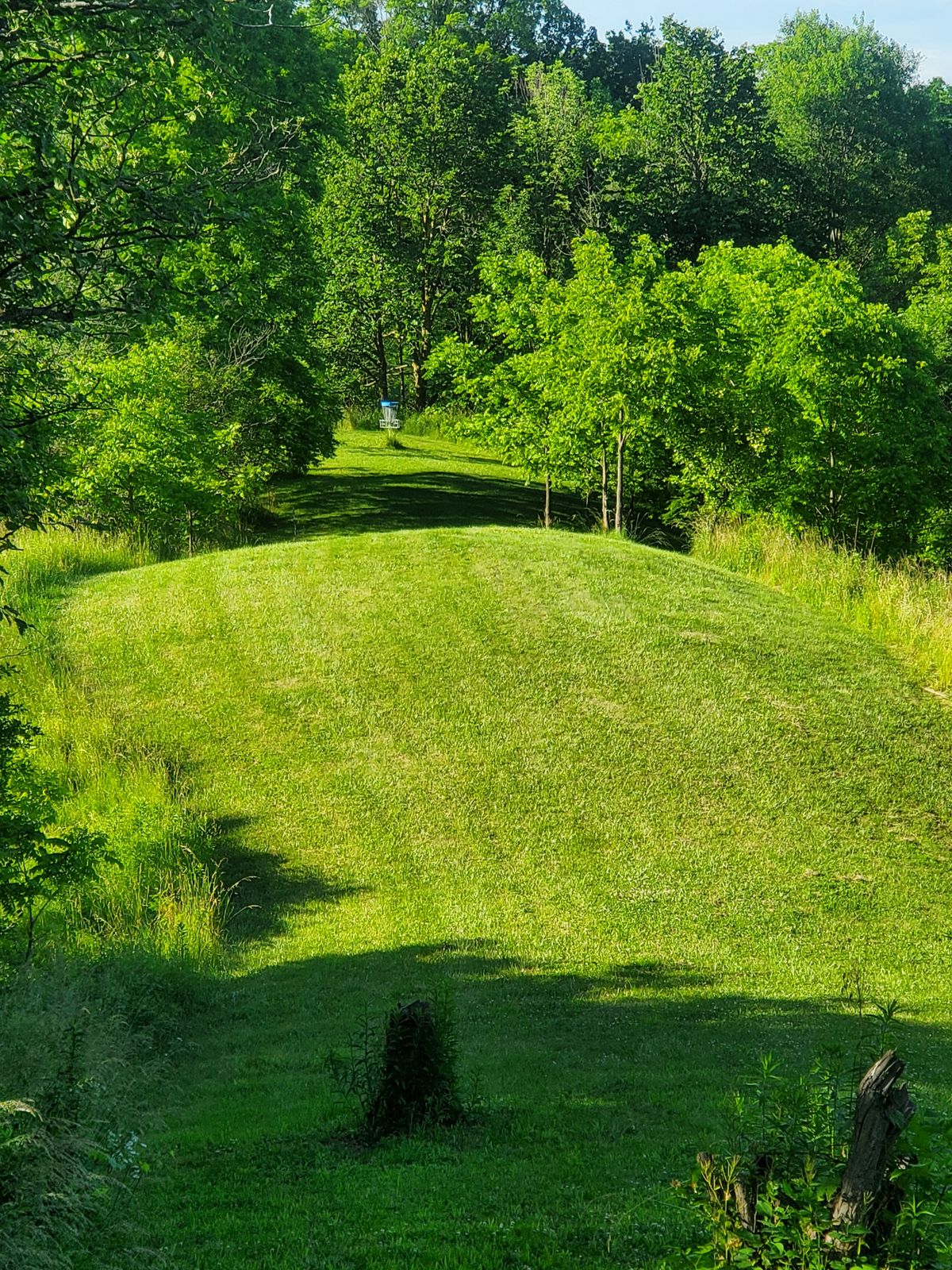 Hole 12