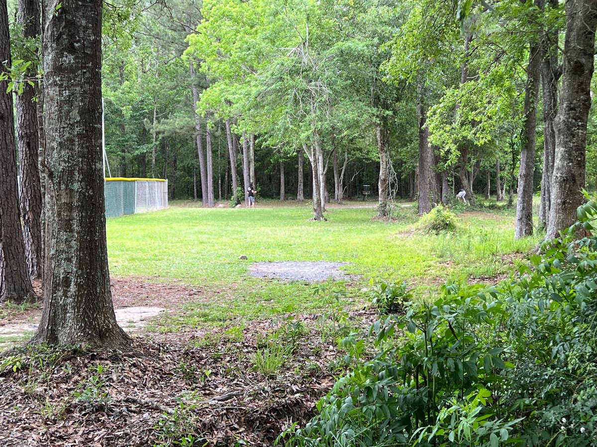 Hole 12 Blue