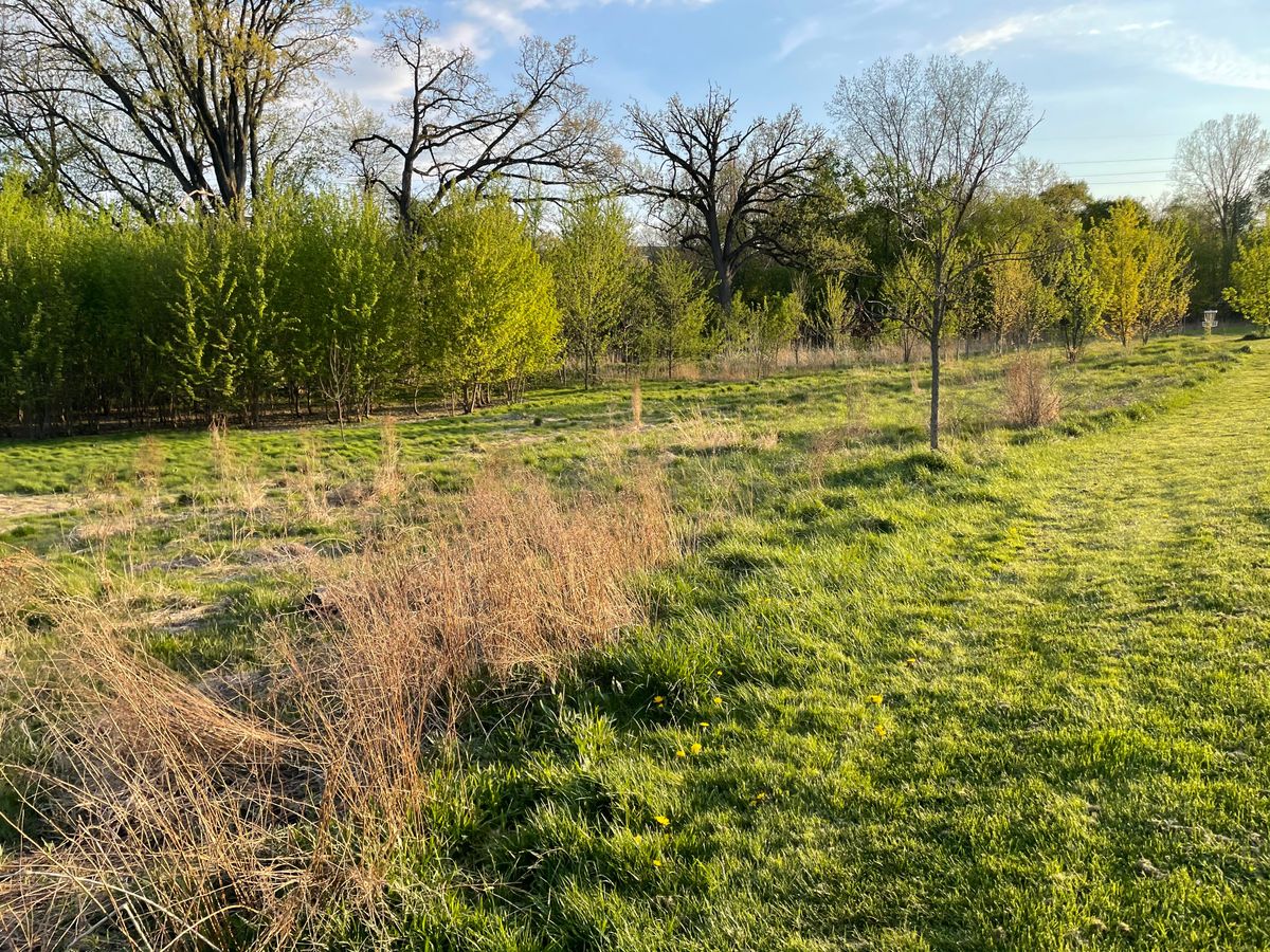 Early spring