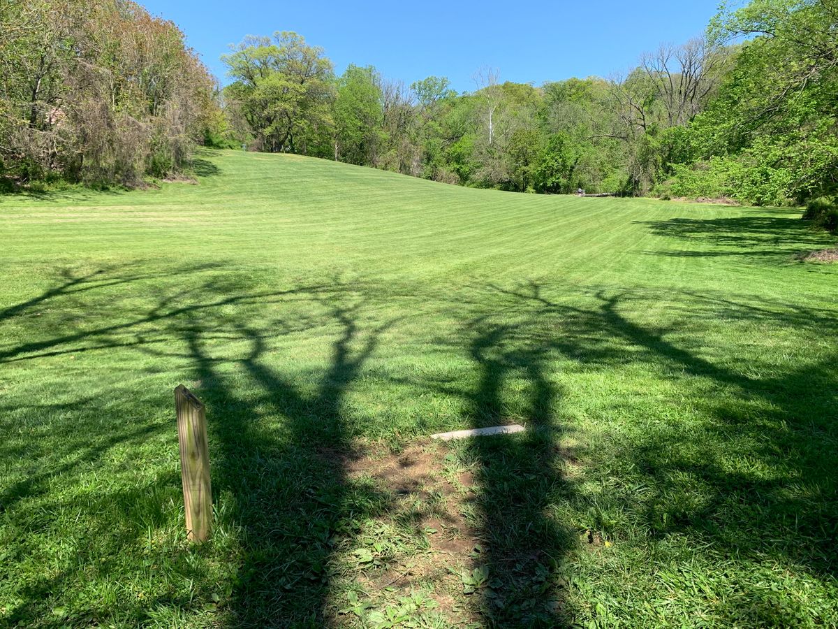 Hole 5 tee. Par 4. Basket is at top of the hill to the left.