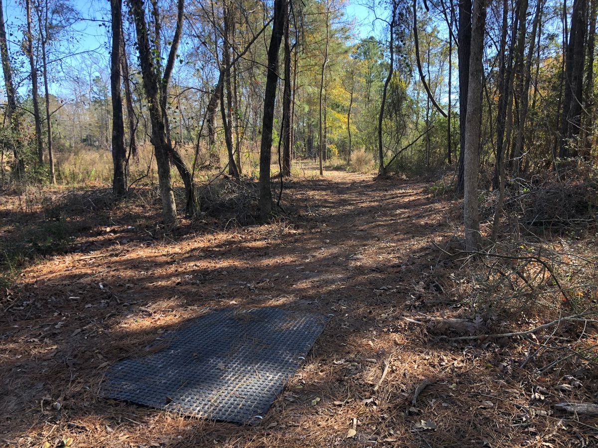#3 tee, tee shot mando down fairway