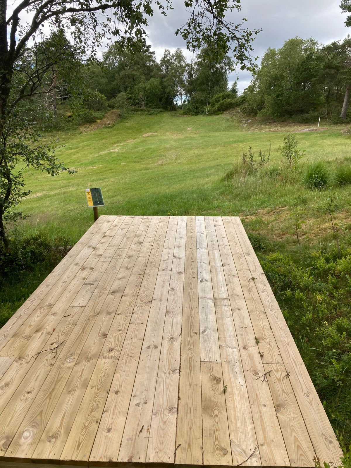 Teepad Hole 5