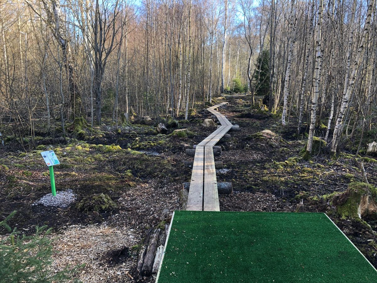 New hole 13