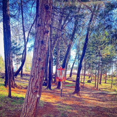 Hole 5 in the E pin position