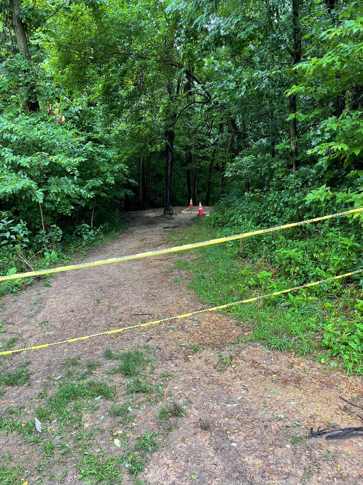 Great parks making disc golf course greater