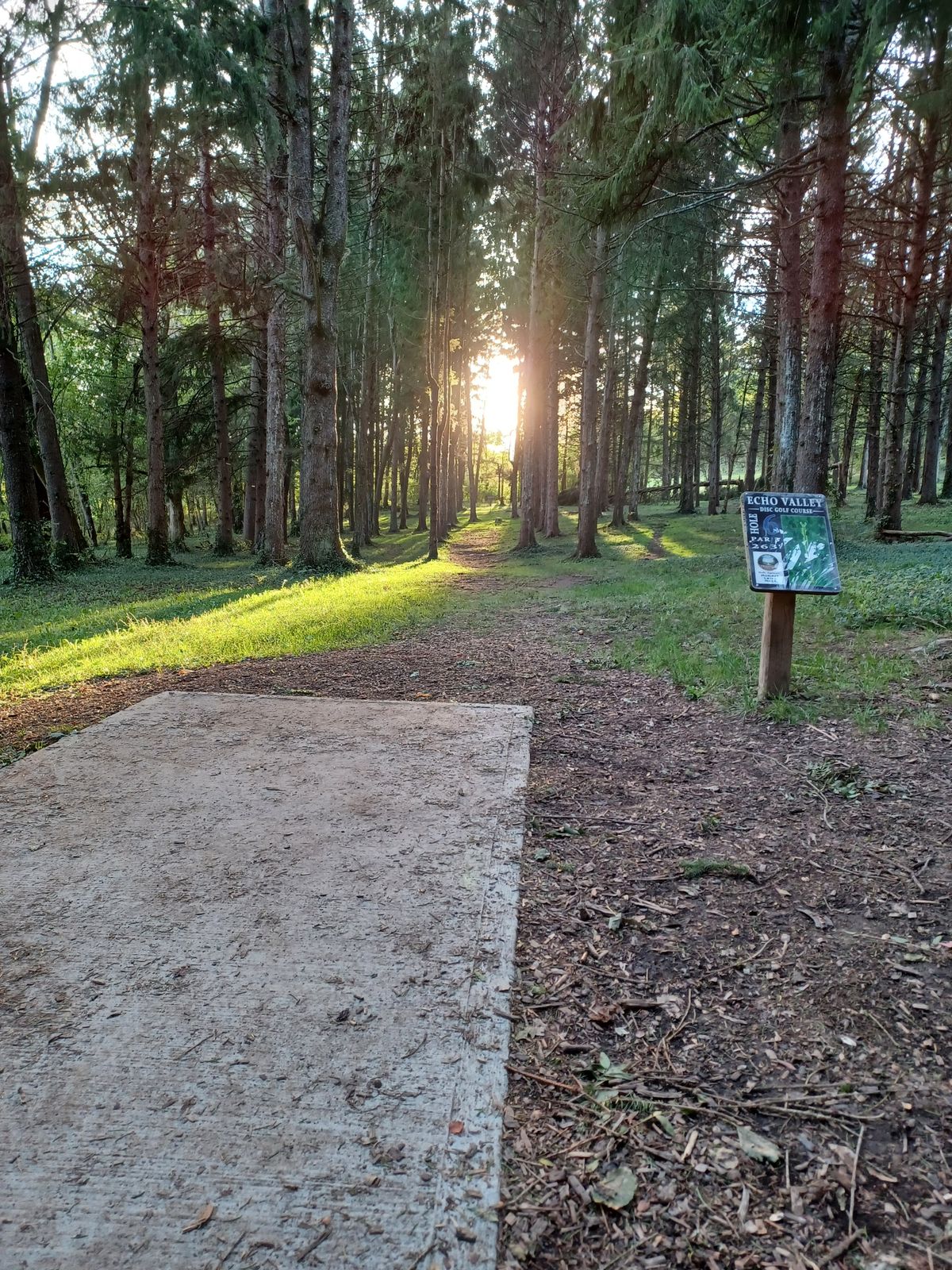 Hole 6 blue teepad