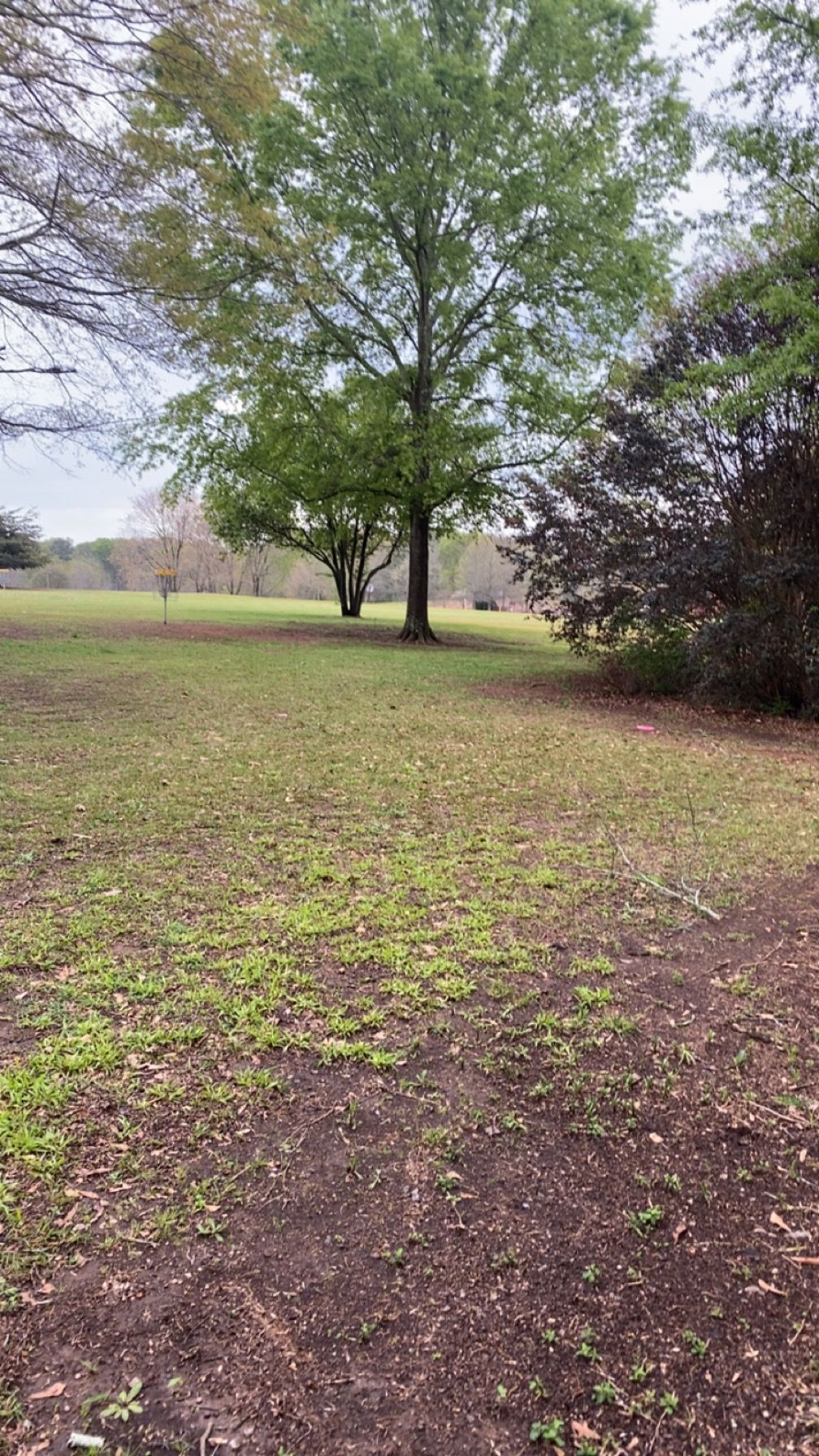 Hole 4