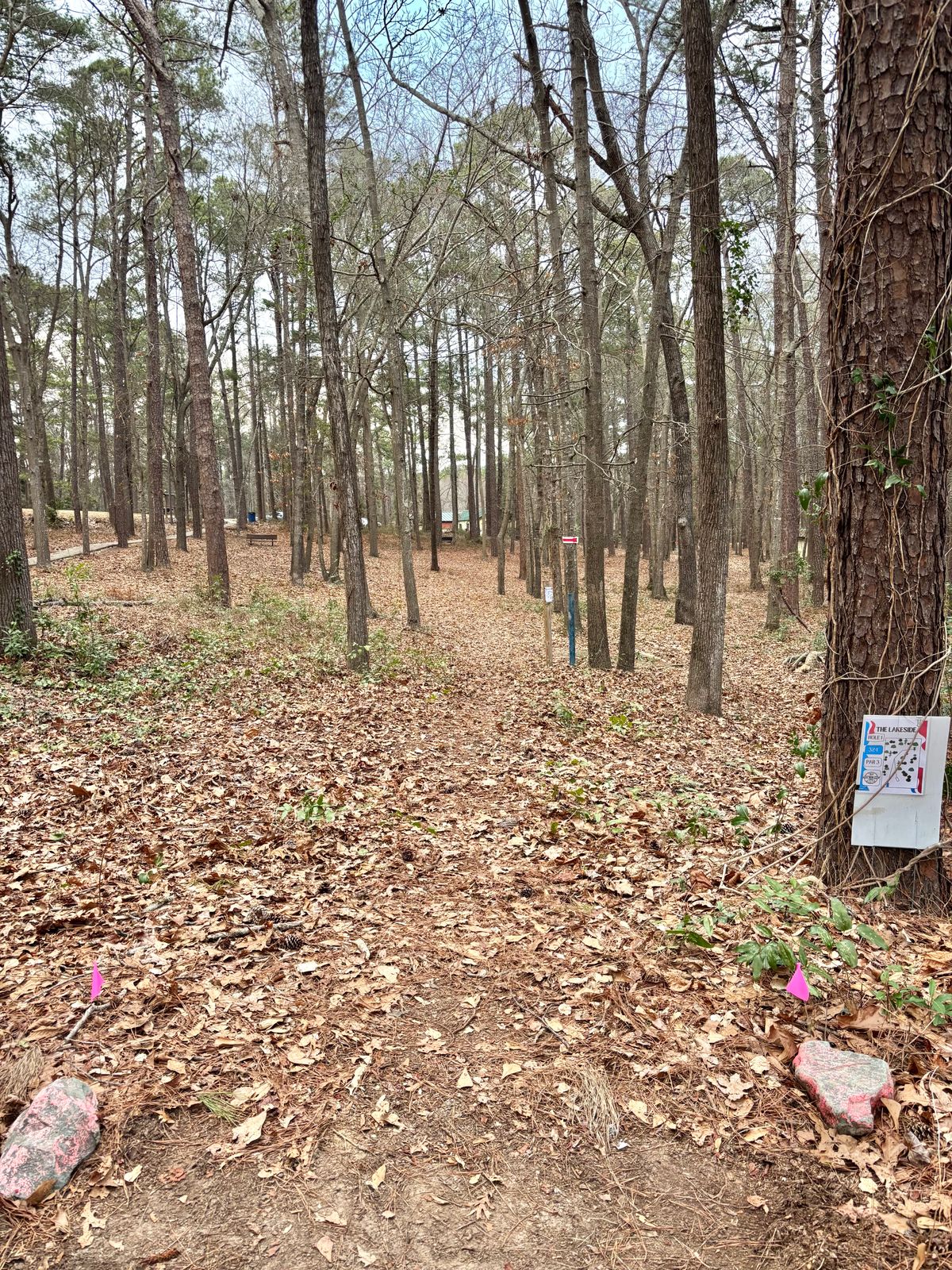 Hole 1 Long Tee