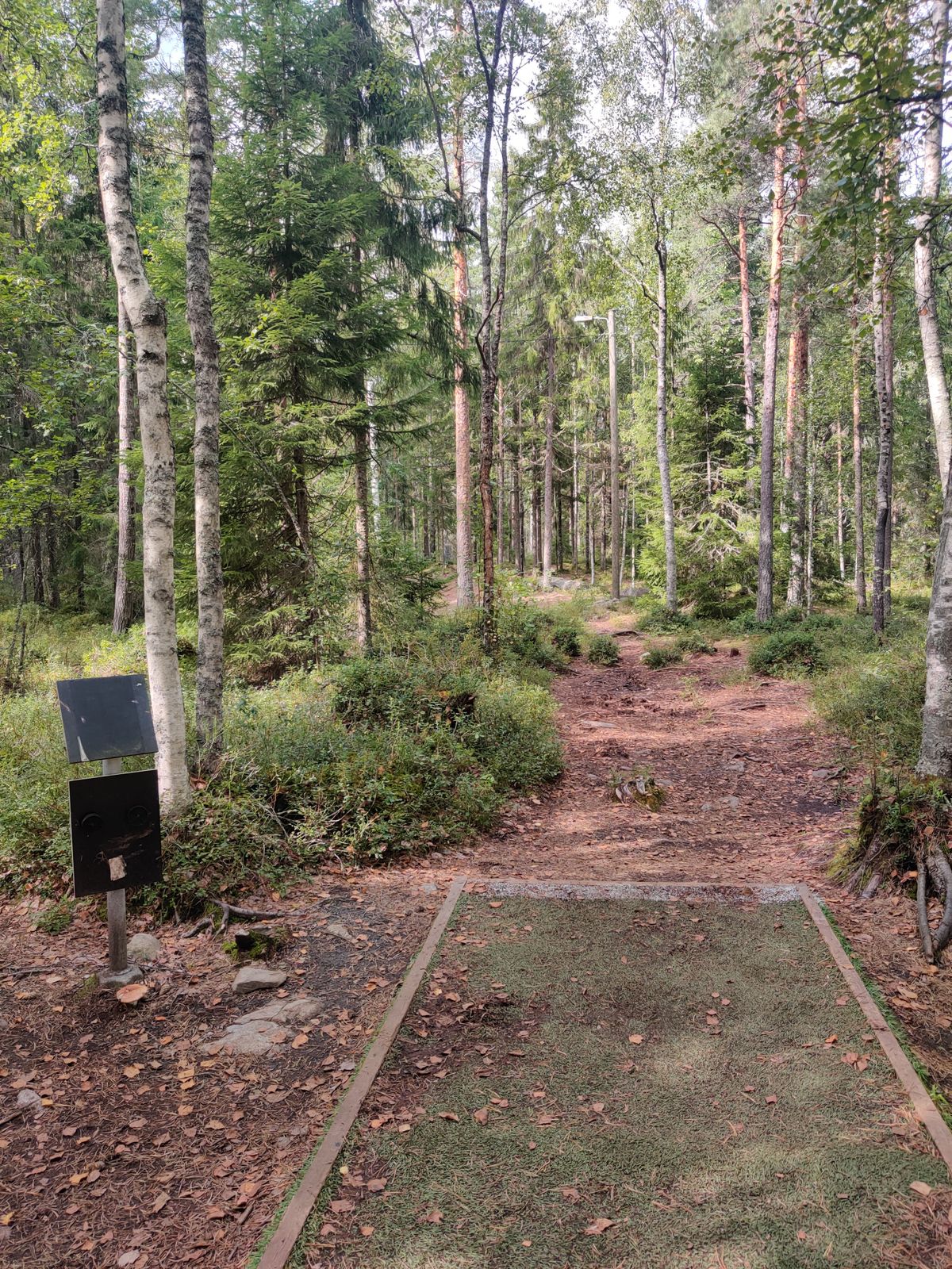 Väylä #6. Väyläopaste kateissa
