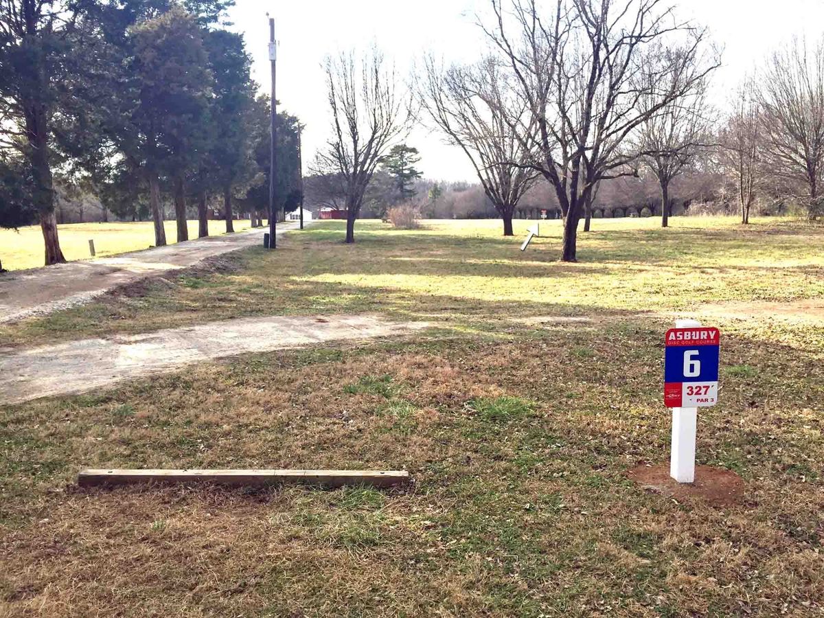 Tee 6A (short)
