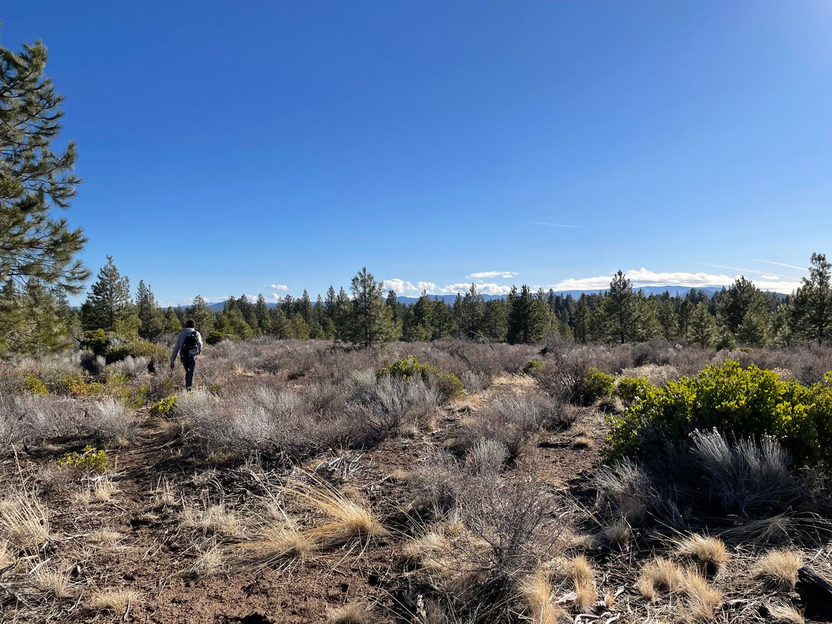 Hole 17