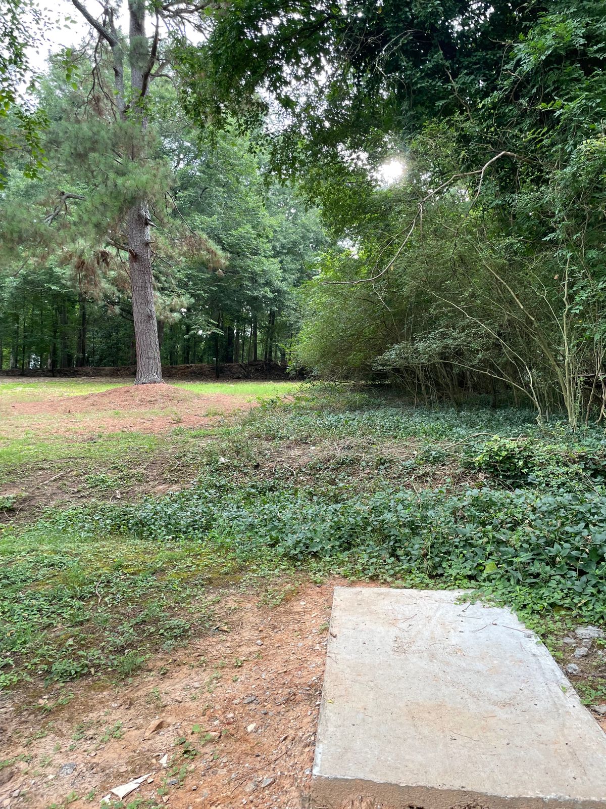 Tee 7
