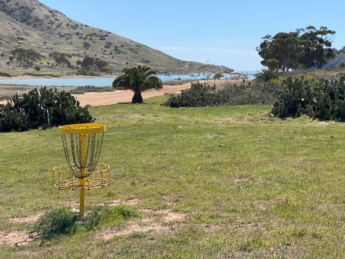 Beautiful day for some disc golf