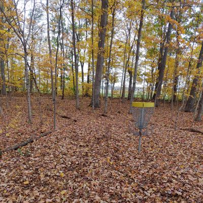 The fairways and paths between holes are lined with small logs