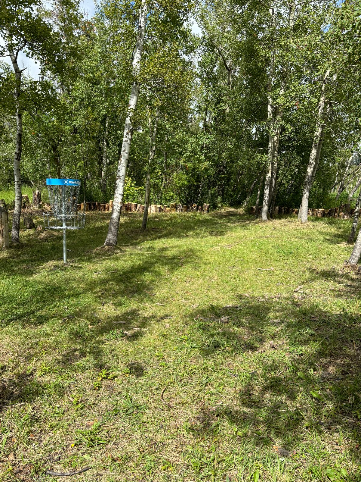East 6 Basket