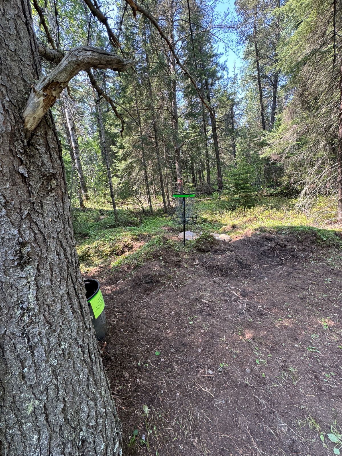 Basket Hole #8