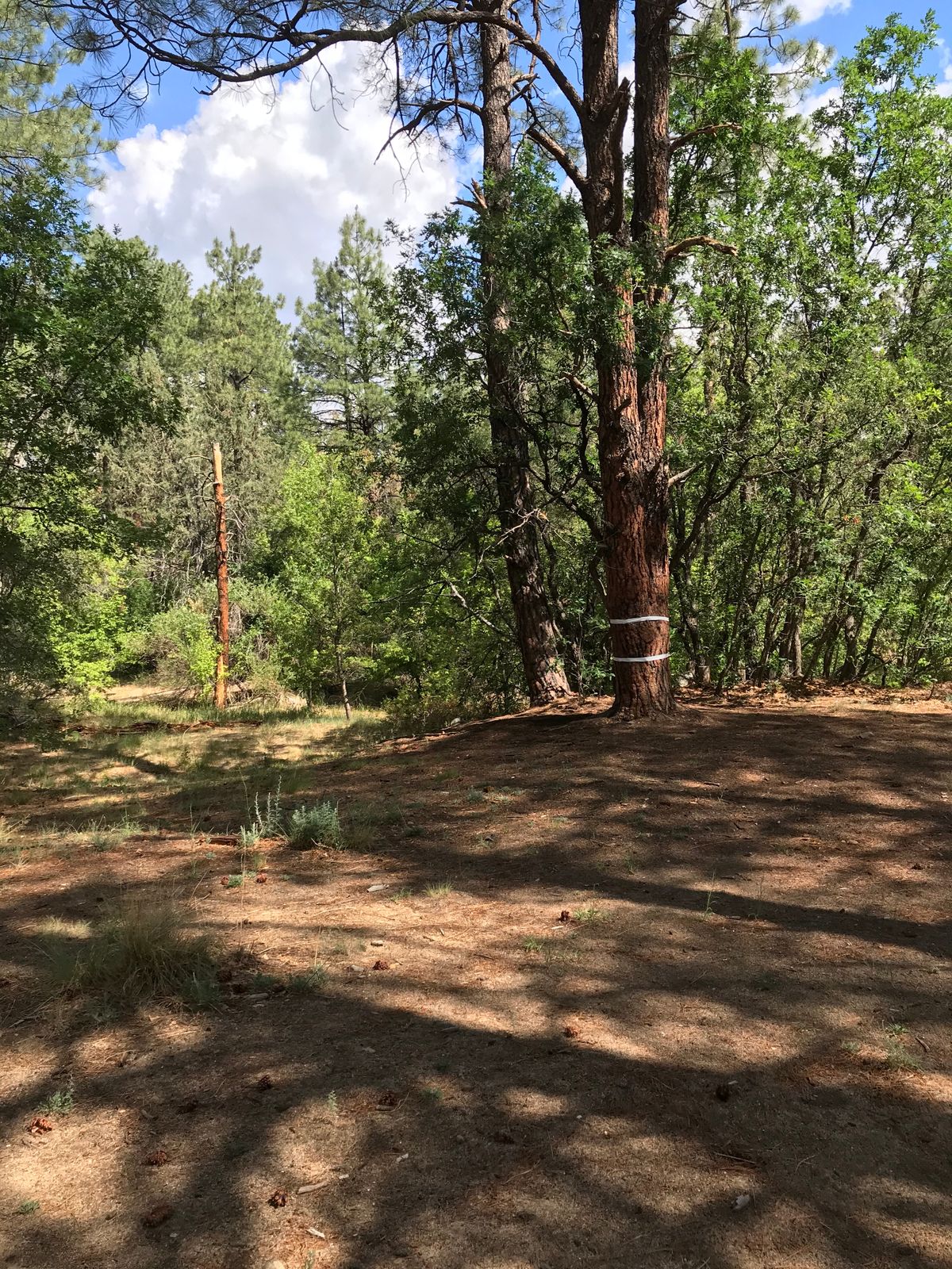 Target 18