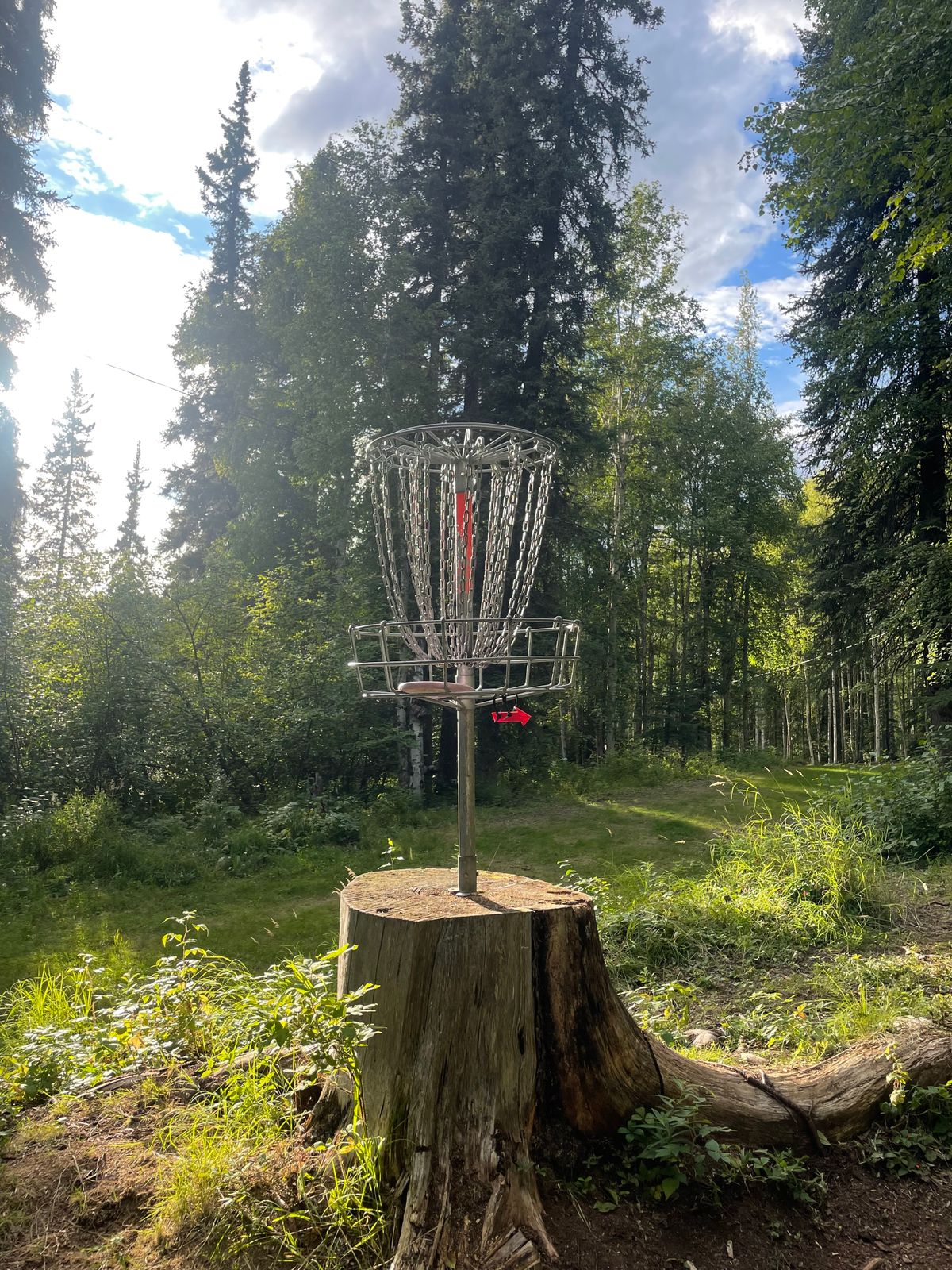 Hole 13 basket looking back down the approach fairway