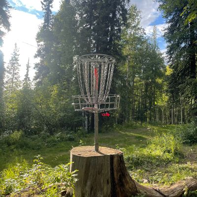 Hole 13 basket looking back down the approach fairway