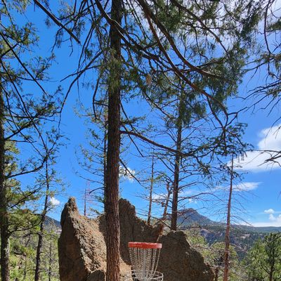 5 basket