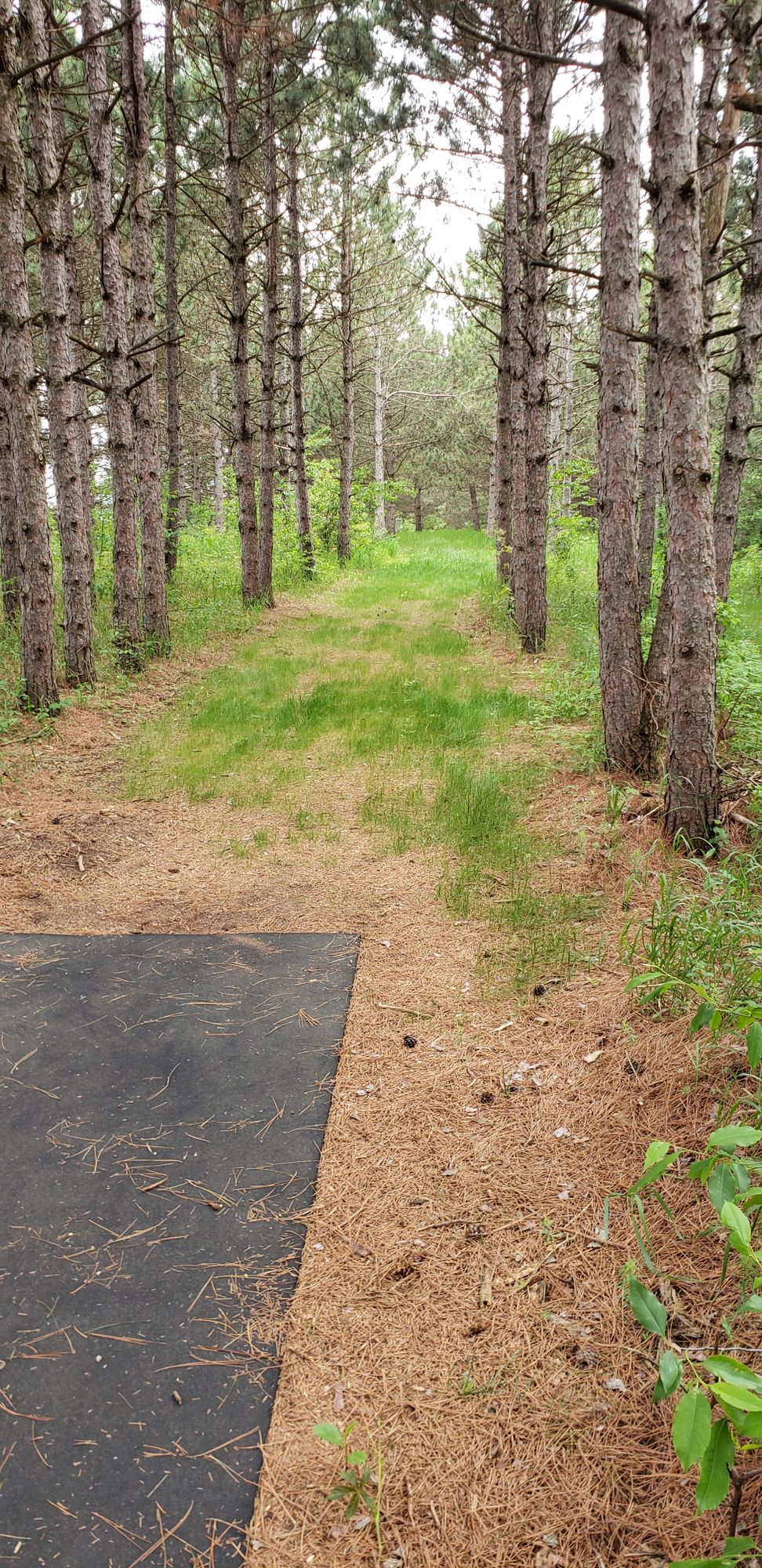 hole 1